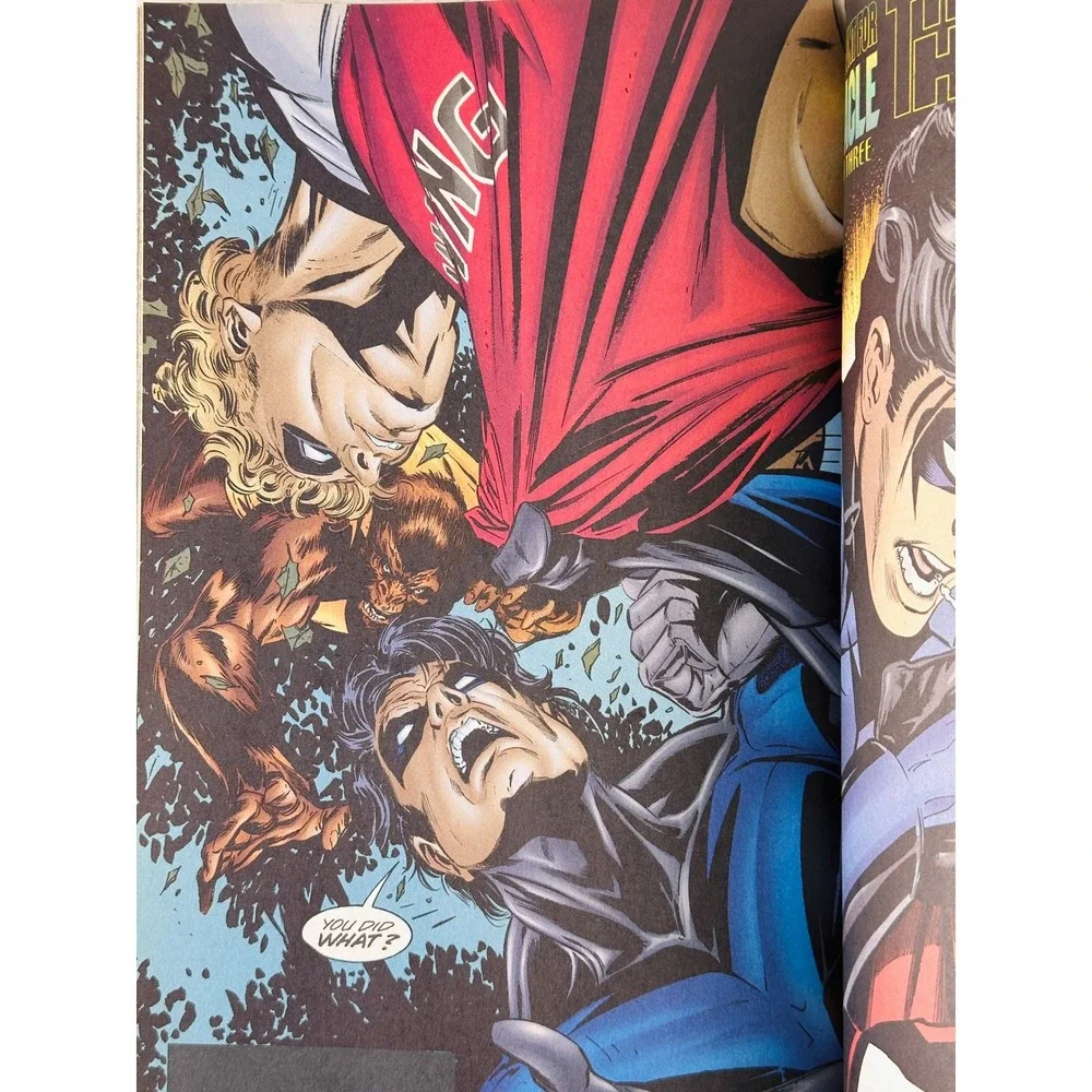 Nightwing The Hunt for‎ Oracle DC Comics Graphic Novel Trade Paperback